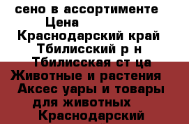 сено в ассортименте › Цена ­ 100-900 - Краснодарский край, Тбилисский р-н, Тбилисская ст-ца Животные и растения » Аксесcуары и товары для животных   . Краснодарский край